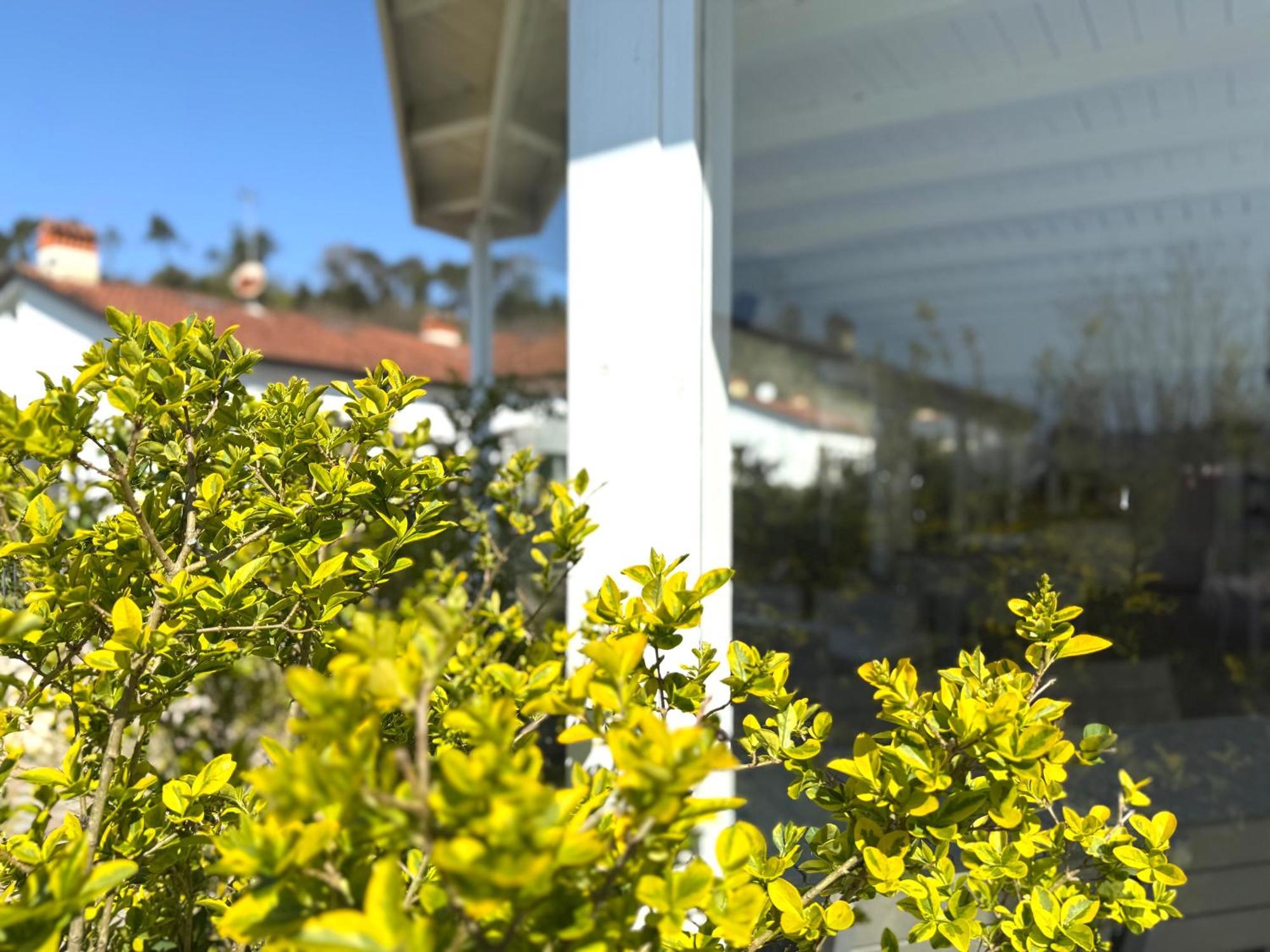 Le Village Sarzana Ngoại thất bức ảnh